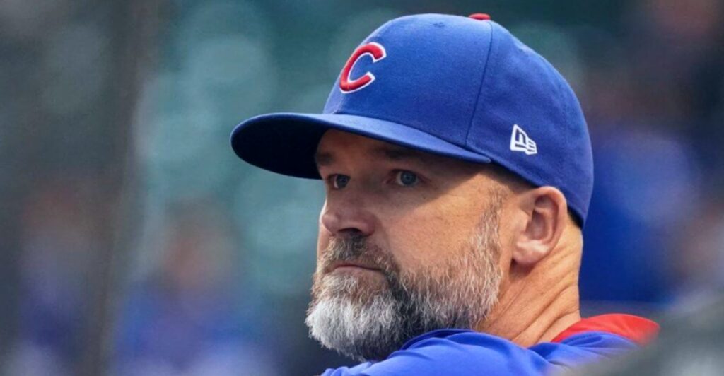 David Ross News